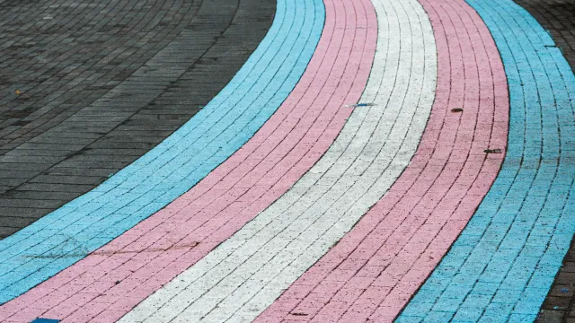Gepflasterter Gehweg in den Farben der trans* Flagge: Hellblau, Rosa und Weiß – Trans Treffen