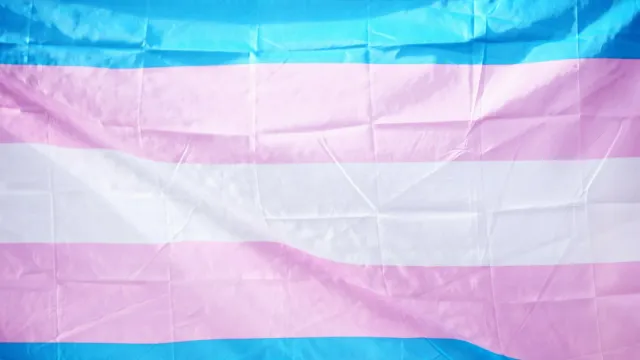 Transgender-Flagge in Hellblau, Rosa und Weiß